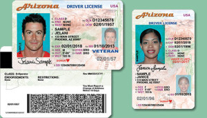 identification arizona id driver license