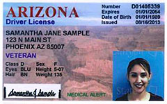 veteran-designated-driver-license-sample